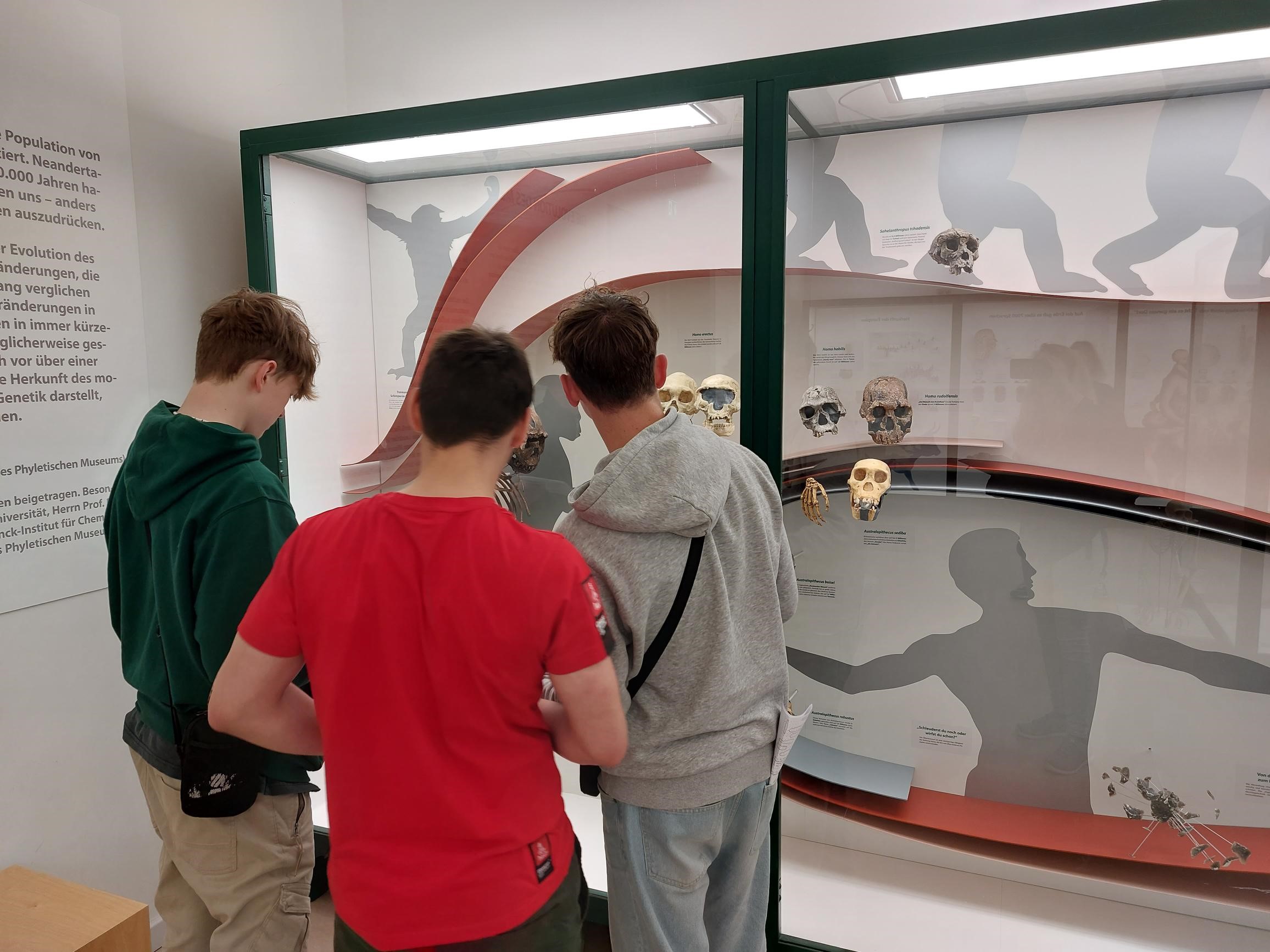 Sabel Schule Saalfeld - Besuch im Phyletischen Museum