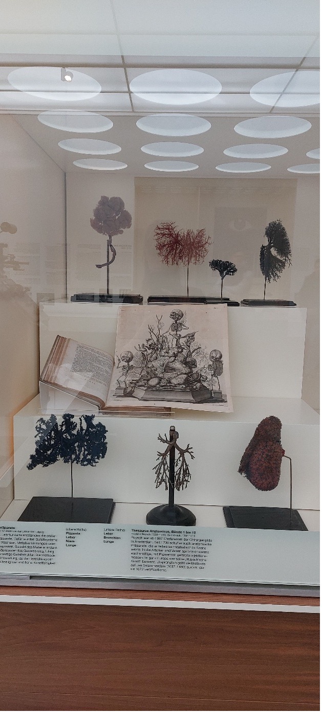 Klassenfahrt4 Klassenfahrt4